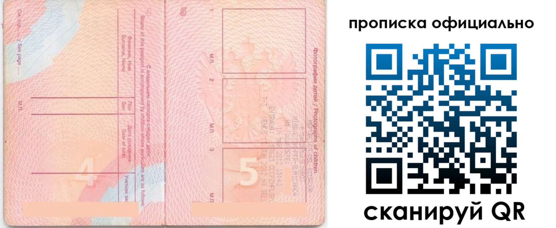 прописка для школы в Каменке